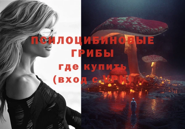 а пвп мука Каменка