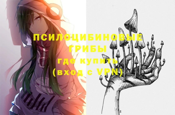 метамфетамин Каменногорск