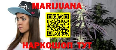 дживик Кингисепп