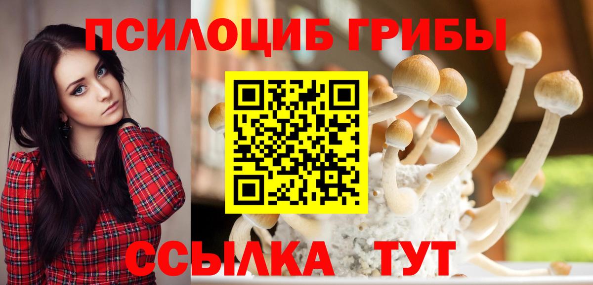 Вологда  Галлюциногенные грибы мицелий  Вход с VPN 